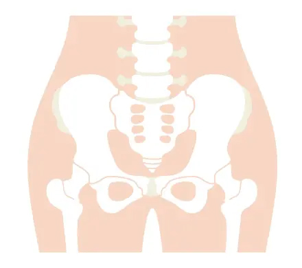 期待できる主な効果とメカニズム